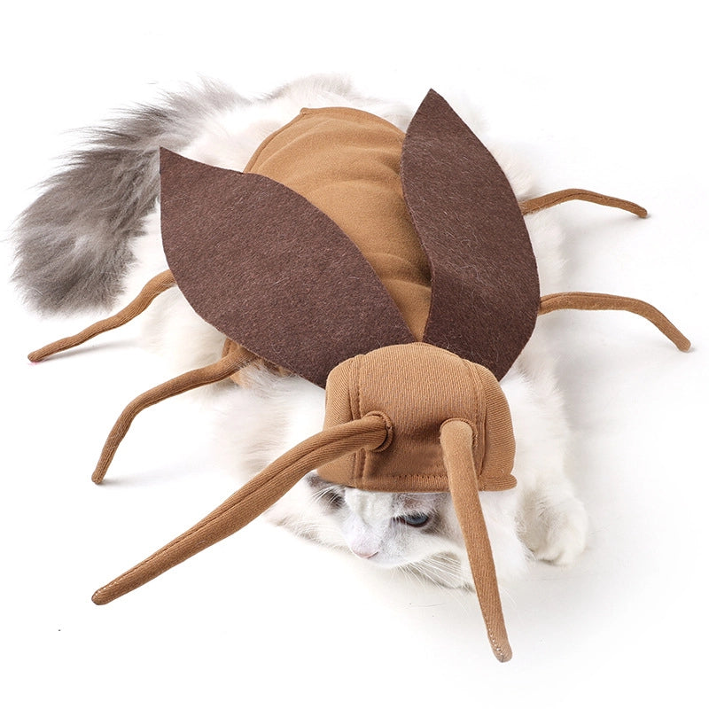 Pet transformation costume Halloween outing funny dog cockroach costume cat