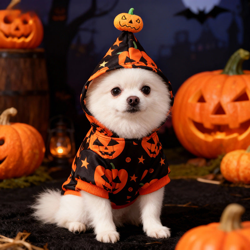 Halloween Pet Dog Clothes Cat Dog Halloween Pumpkin Two-Legged Hoodie Sweatshirt for Medium and Small Dogs Teddy Factory Direct Sale