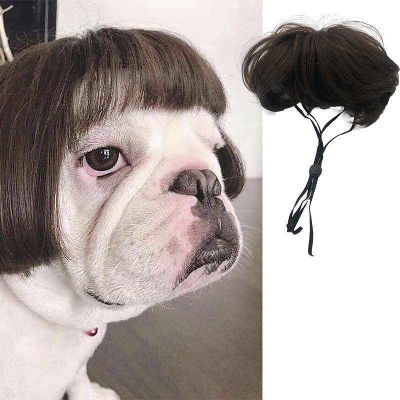 Pet wig dog wig Halloween pet accessory curly hair straight hair