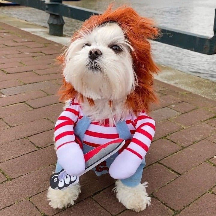 Halloween knife deadly doll small and medium-sized dog funny transformation