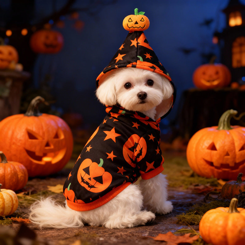 Halloween Pet Dog Clothes Cat Dog Halloween Pumpkin Two-Legged Hoodie Sweatshirt for Medium and Small Dogs Teddy Factory Direct Sale