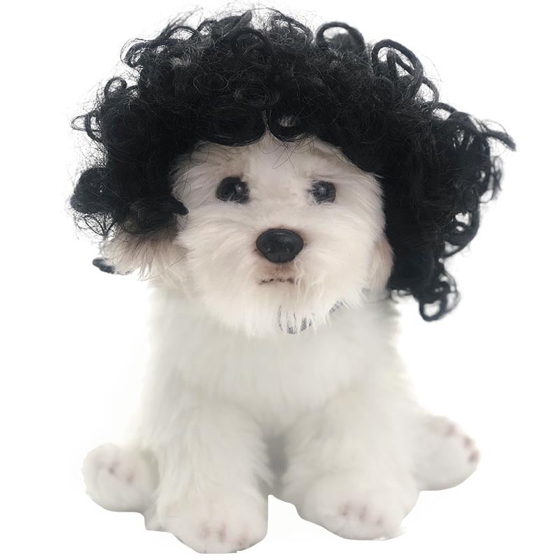 Pet wig dog wig Halloween pet accessory curly hair straight hair