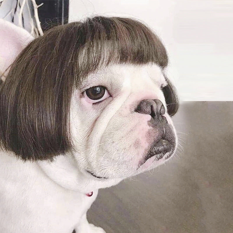 Pet wig dog wig Halloween pet accessory curly hair straight hair