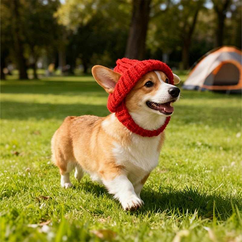 Autumn and Winter Warm and Windproof Halloween Knitted Fighting Dog Hat