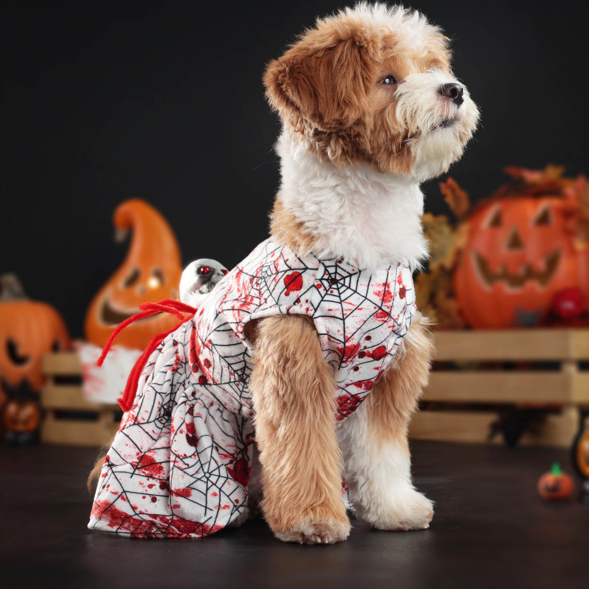 Halloween Pet Dog Dress Four-Legged Clothing Horror Bloody Spider Small Dog Costume Factory Direct Sales Drop Shipping