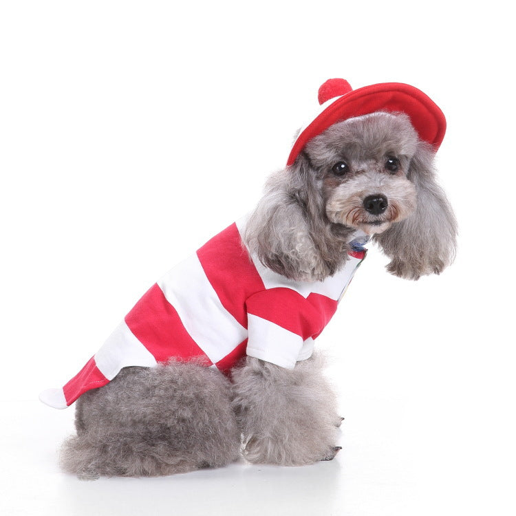 Dog Halloween costume with funny costumes
