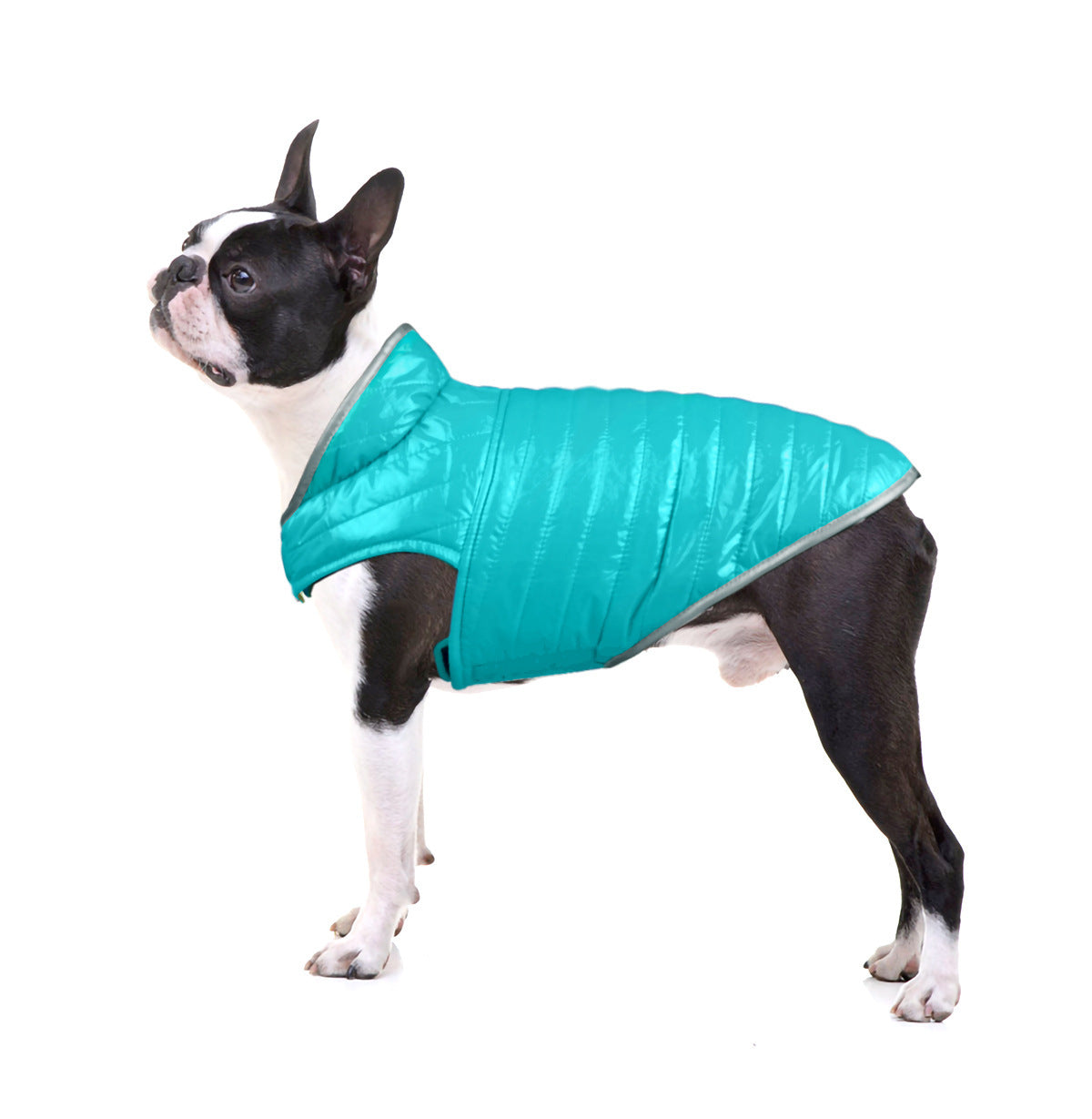 Pet Clothes Dog Clothes Light Weight Double-sided Cotton Coat Contrasting Color Reflective Small and Medium-Sized Dog Clothes