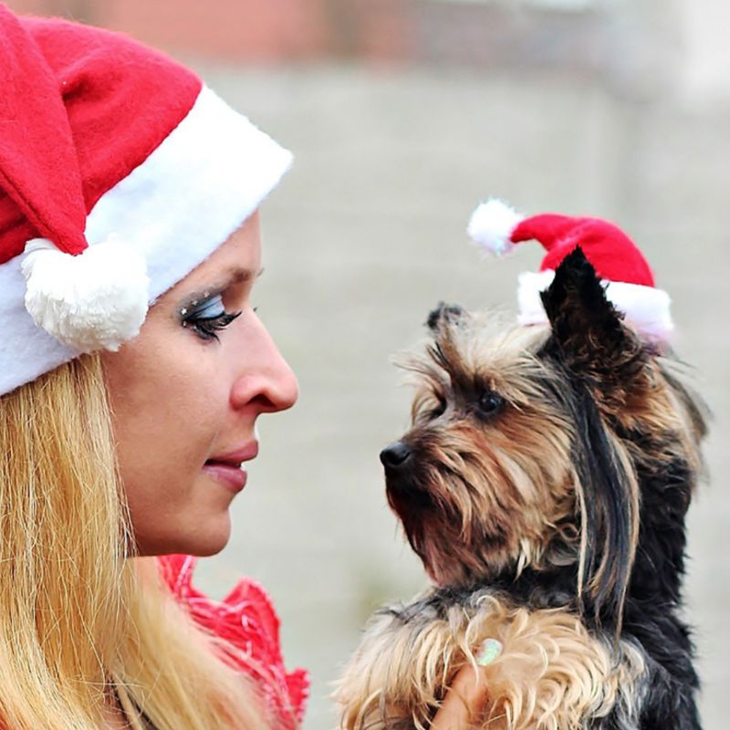 1pc Christmas Pet Hat Santa Claus Hat for Cats Dogs Puppy Xmas Decoration New Year Party Supplies Pet Costume